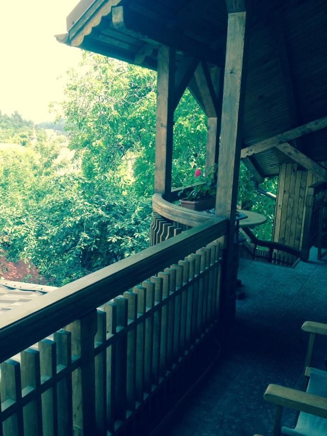 Отель Pension Brasovu Vechi Брашов-42