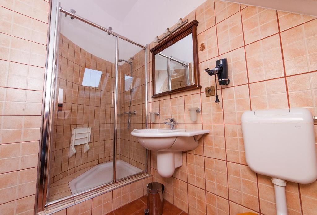 Отель Pension Brasovu Vechi Брашов-50