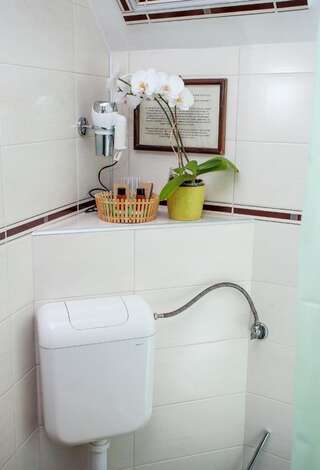 Отель Pension Brasovu Vechi Брашов Двухместный номер с 1 кроватью-13