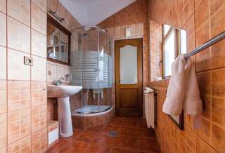 Отель Pension Brasovu Vechi Брашов Двухместный номер с 2 отдельными кроватями-5