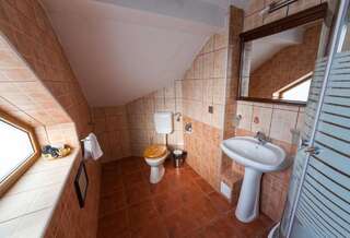 Отель Pension Brasovu Vechi Брашов Двухместный номер с 2 отдельными кроватями-6