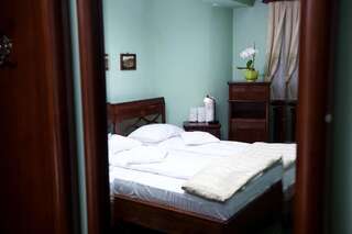 Отель Pension Brasovu Vechi Брашов Двухместный номер с 1 кроватью-30
