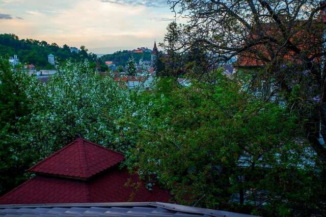 Отель Pension Brasovu Vechi Брашов-16