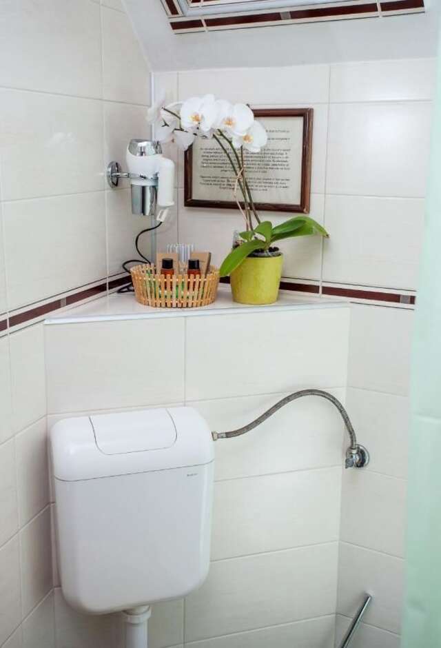 Отель Pension Brasovu Vechi Брашов-38