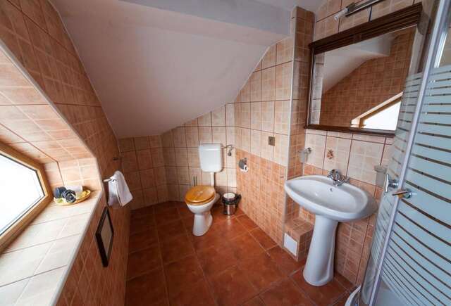 Отель Pension Brasovu Vechi Брашов-45